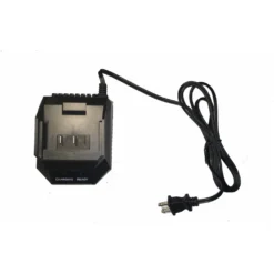 GENERAC 12v Lithium-Ion Battery Charger OEM #10000020284